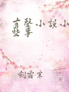 有声小说小村那些事