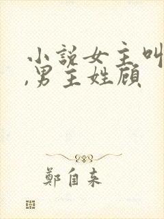 小说女主叫苏菲,男主姓顾