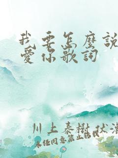 我要怎么说我不爱你歌词