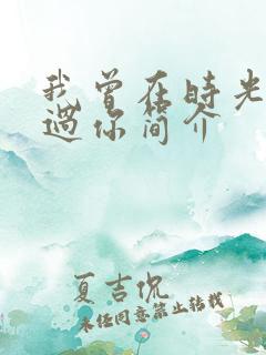 我曾在时光里听过你简介