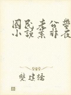 国民老公带回家小说叶非夜