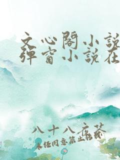 文心阁小说_无弹窗小说在线免费阅读