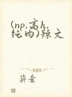 (np,高h,纯肉)辣文