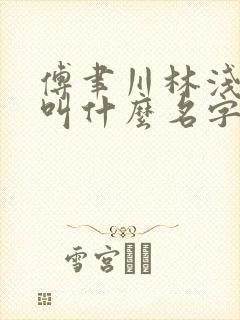 傅聿川林浅小说叫什么名字