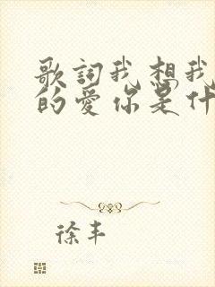 歌词我想我是真的爱你是什么歌