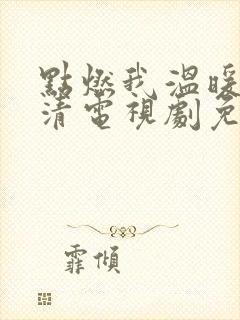 点燃我温暖你高清电视剧免费观看