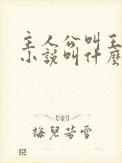 主人公叫王逸的小说叫什么