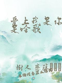 爱上我是你的错是啥歌