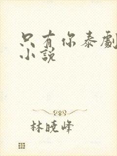 只有你泰剧原著小说