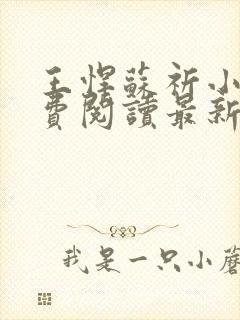 王悍苏祈小说免费阅读最新章节无弹窗