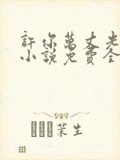 许你万丈光芒好小说免费全文