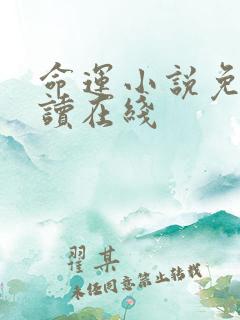 命运小说免费阅读在线