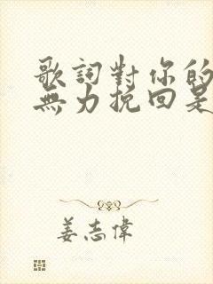 歌词对你的背叛无力挽回是什么歌