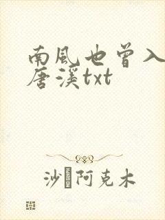 南风也曾入我怀唐溪txt
