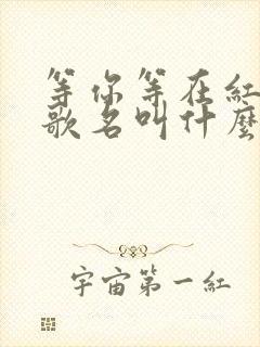 等你等在红尘中歌名叫什么