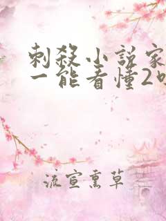 刺杀小说家不看一能看懂2吗