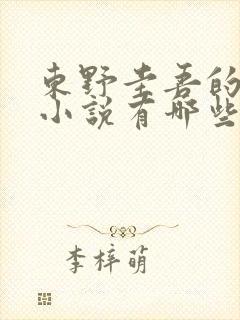 东野圭吾的长篇小说有哪些