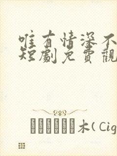 唯有情深不可负短剧免费观看完整版