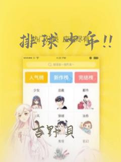 总裁的神秘哑妻全文