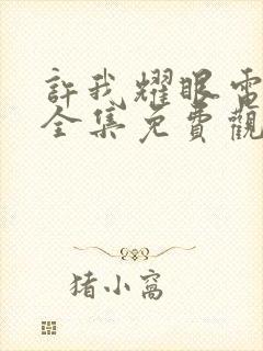 许我耀眼电视剧全集免费观看流畅