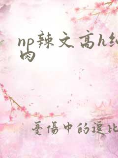 np辣文高h纯肉