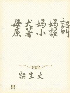 母犬妈妈认主记原著小说叫什么名字