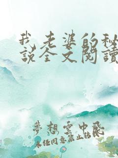 我老婆的秘密小说全文阅读