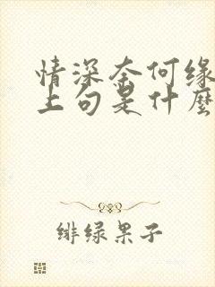 情深奈何缘浅的上句是什么