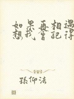 如果再相遇,我想我会记得你