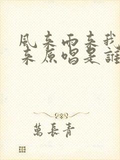 风来雨来我等你来原唱是谁