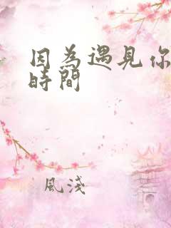 因为遇见你播出时间