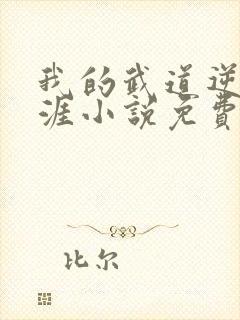 我的武道逆袭生涯小说免费阅读