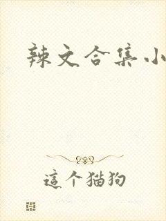 辣文合集小说网