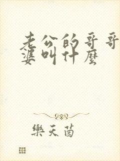 老公的哥哥的老婆叫什么