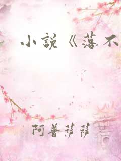 小说《落不下》