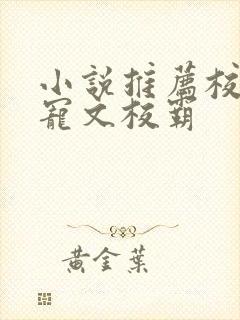 小说推荐校园甜宠文校霸