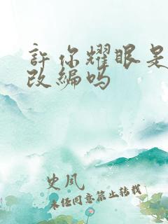 许你耀眼是小说改编吗