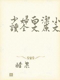 少妇白洁小说阅读全文原文