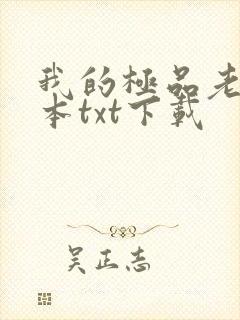 我的极品老婆全本txt下载