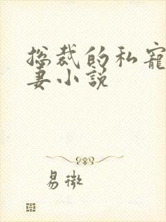 总裁的私宠小娇妻小说