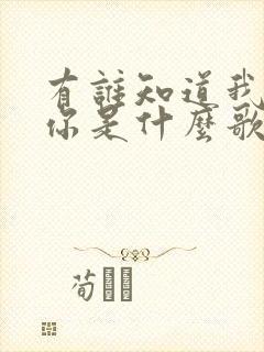 有谁知道我在等你是什么歌