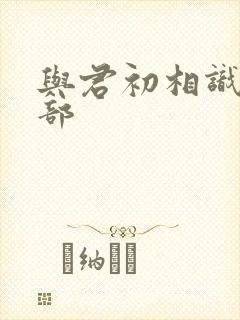 与君初相识下一部