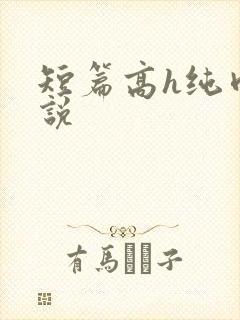 短篇高h纯肉小说