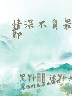 情深不负最新章节