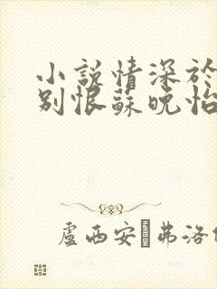 小说情深于你空别恨苏晚怡在线阅读