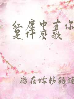 红尘中有你有我是什么歌