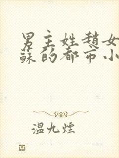 男主姓赵女主姓苏的都市小说