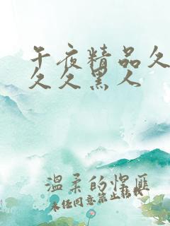 午夜精品久久久久久黑人