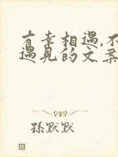 有幸相遇,不负遇见的文案