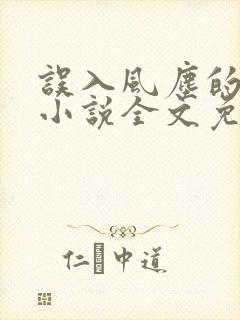 误入风尘的爱情小说全文免费阅读